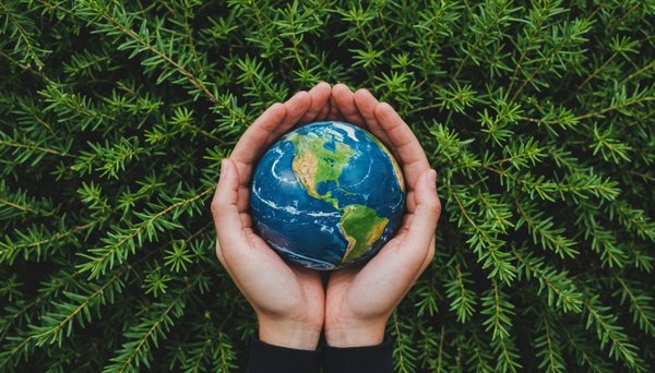 Le Minimalisme au Quotidien : Un Impact Positif sur l'Environnement